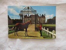 CPSM ORNE 61 LE HARAS DU PIN CARMATHEN ETALON DE PUR SANG ANGLAIS