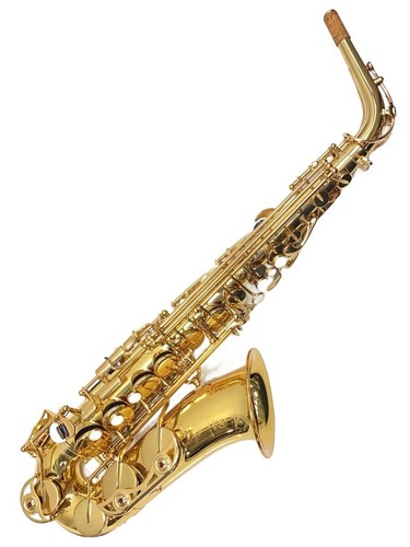 Manche saxophone alto - saxophone,