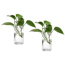 Vase verre 6x3.5 pouces 2