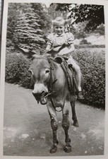 Fillette A Dos D'âne 1950's