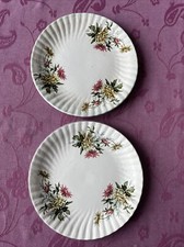Lot 2 Assiettes  Terre De Fer Polychrome 19eme Siècle  Bégonias Chrysanthèmes