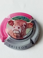 capsule de champagne BRISSON JONCHERE N 47 e