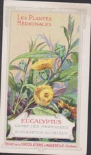 CHROMO ANCIEN CHOCOLATERIE