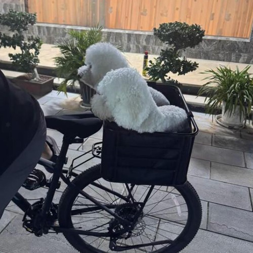 Panier arrière vélo - de,