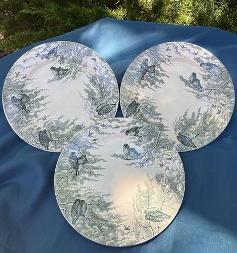 Assiettes plates neige - assiettes,