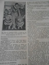 Un couple de Champions Bélier et Brebis 1er à Sydney Australia Print 1933