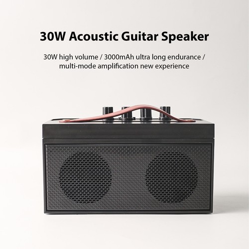 Haut parleur pour guitare - pour,