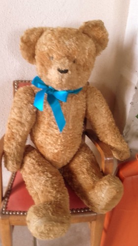 Ours ancien steiff parfait - ours,