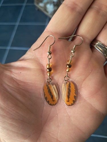 Paire boucles oreilles de - boucles,