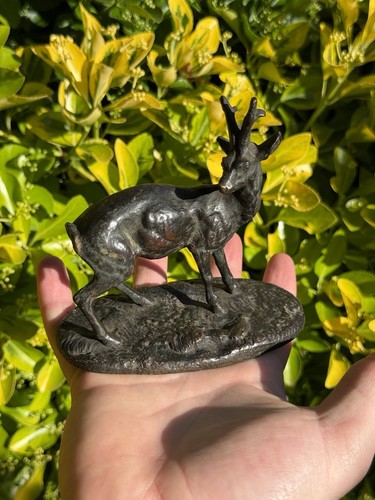 Bronze animalier chevreuil - animalier,