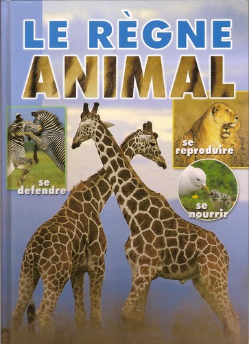 Regne animal - le,