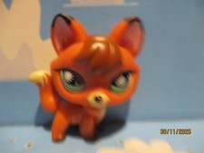 PETSHOP RENARD N°807