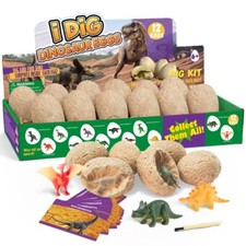 Oeufs de Dinosaure Kit de