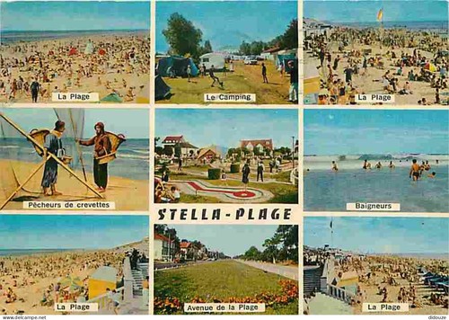 Carte postale stella - 62,