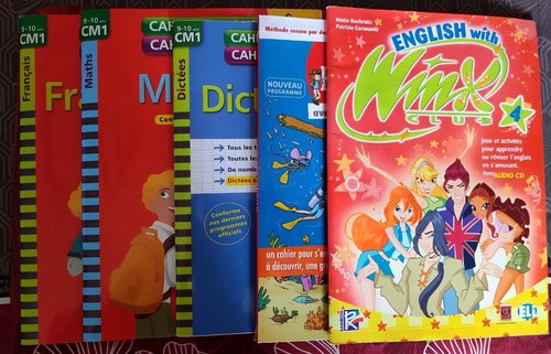 Lot livre cm1 maths - livre,