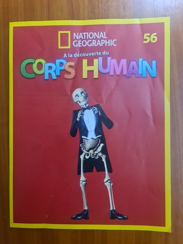 Découverte du corps - découverte,