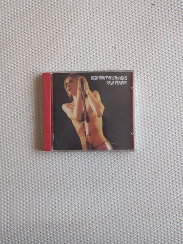 The stooges raw power - the,