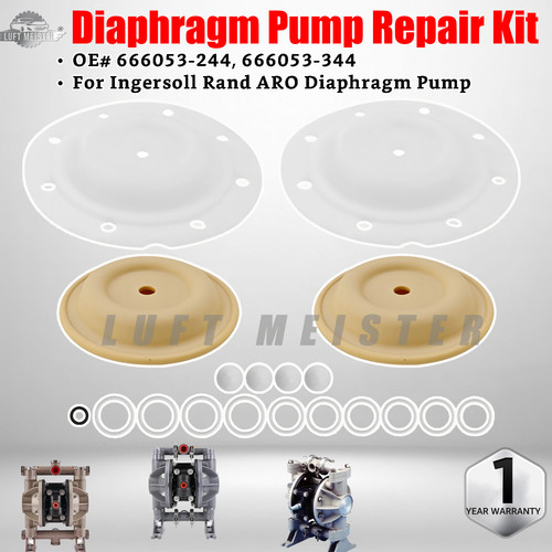 Diaphragm pump rebuild kit - diaphragm,