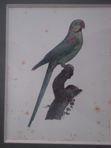 Tableau gravure ancienne