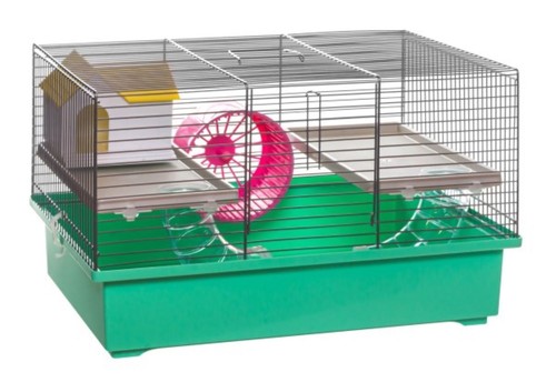 Cage souris hamster - cage, À