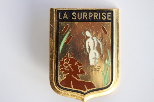 Insigne surprise frégate - insigne, la