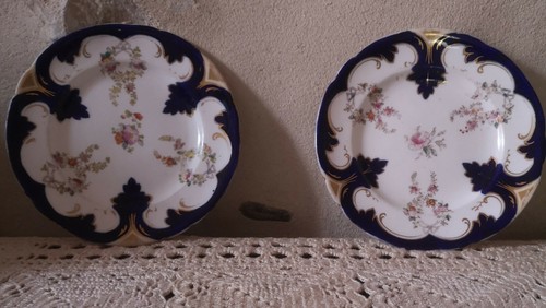 Paire assiettes porcelaine