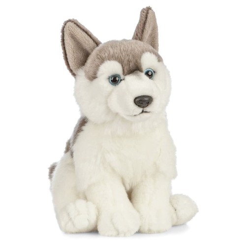 Husky chiot nature - husky, la