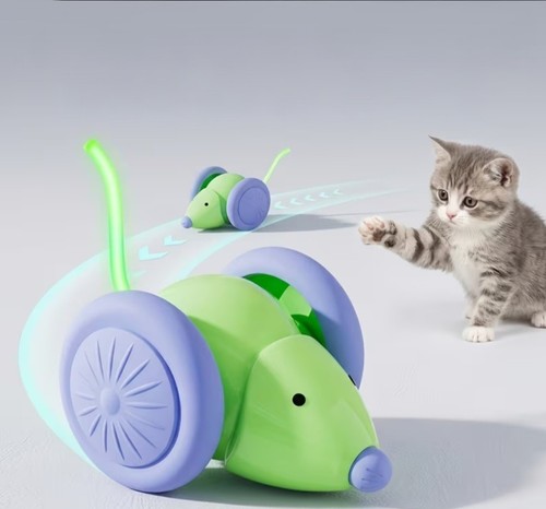 Jouet chat souris vert - chat,