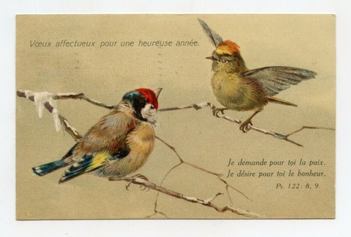 Bonne année oiseaux - bonne,