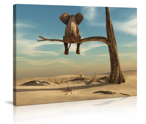 Images sur toile - 80, 60
