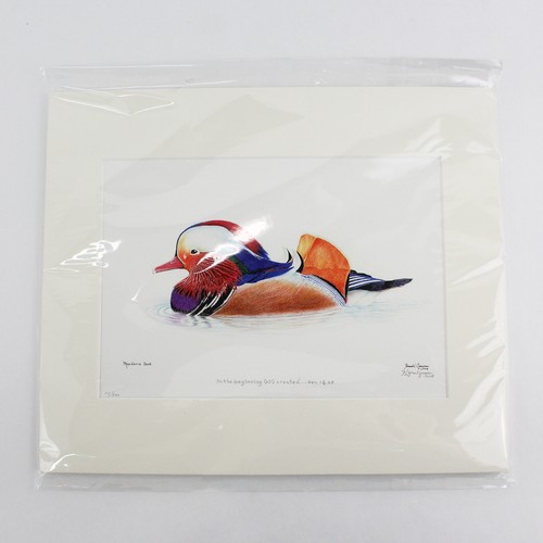 Peinture originale 2018 - peinture, canard