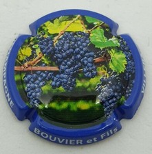 Capsule de champagne Jero