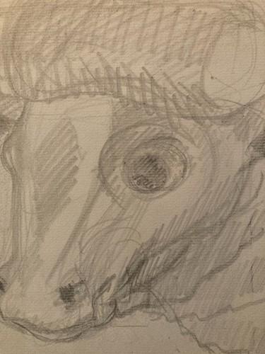 Dessin crayon vache - crayon,