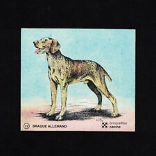 Autocollant / Sticker vintage croquettes Canina Braque Allemand