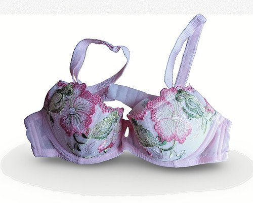 Soutien gorge charlott