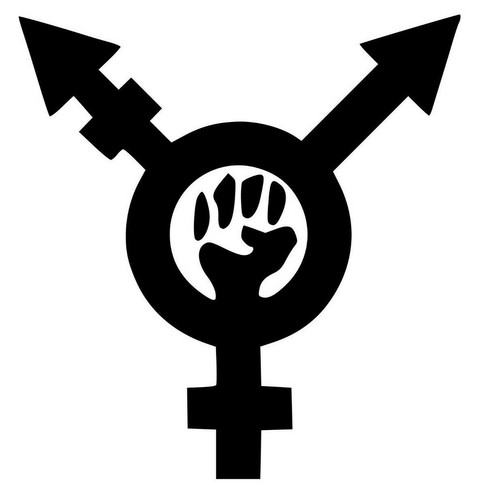 Transfeminism symbol vinyl - transfeminism,