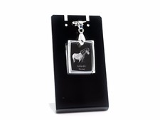 Poney Islandais, Collier En