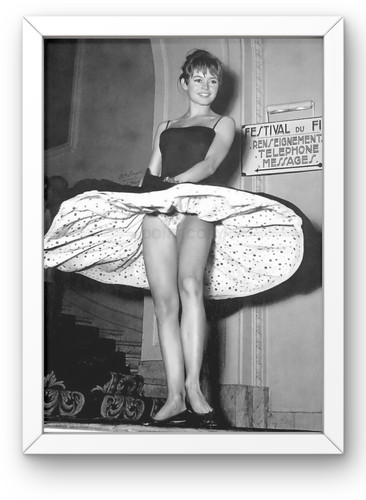 Brigitte bardot framed photo - photo,