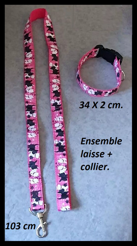 Laisse son collier assortis - son,