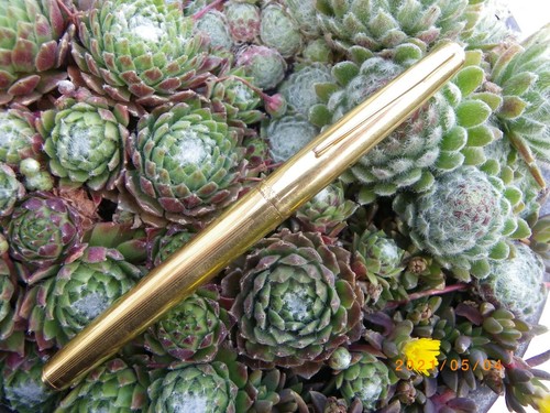 Ancien stylo watermans - ancien,
