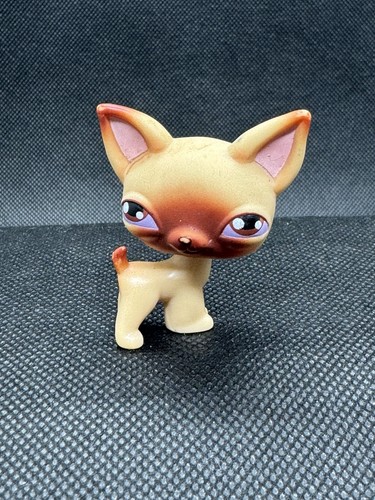 Authentic littlest pet shop - pet,
