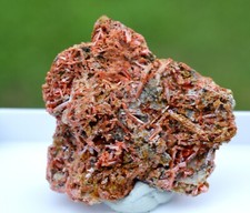 Crocoïte 63 grammes - Dundas mineral field, Zeehan District, Tasmanie Australie