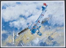 Georges Guynemer Nieuport type