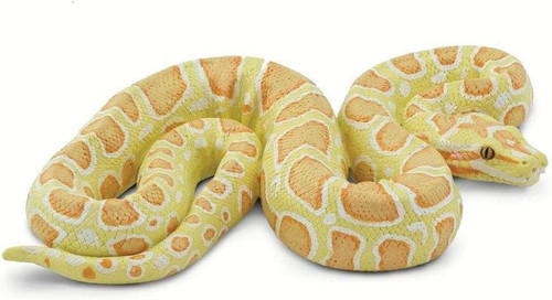 Albino burmese python figurine - burmese,