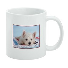 West Highland Terrier Westie