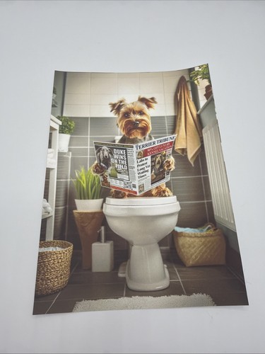 Affiche chien yorkshire - affiche,