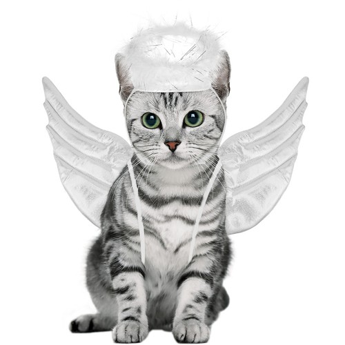 Pet clothes halloween costume - pet,