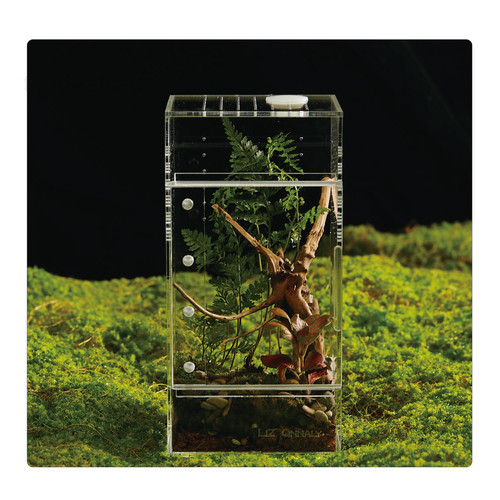 Acrylic terrarium for - terrarium,