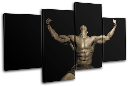 Gain muscle gym - muscle,