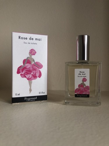 Miniature rose mai - de,